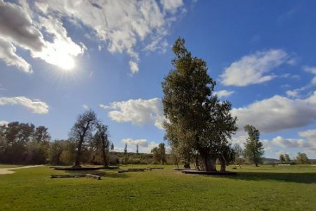 BONCHIDA_PARK_2