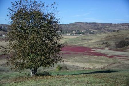 szikes